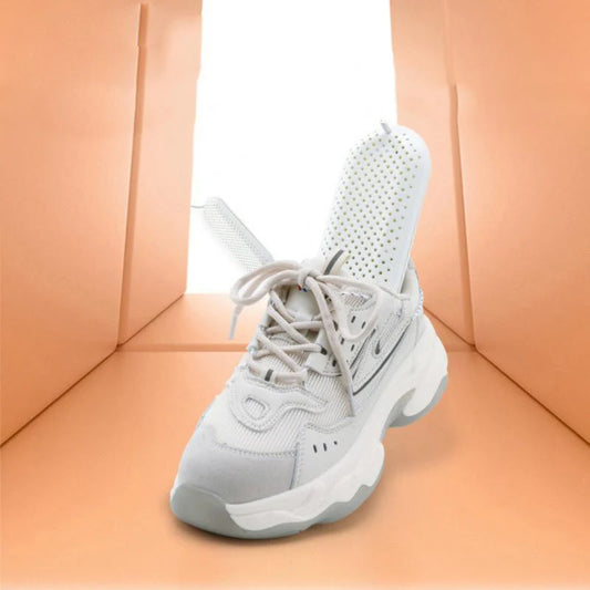 Secadora de zapatos eléctricos